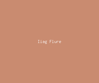 iiag flure meaning, definitions, synonyms